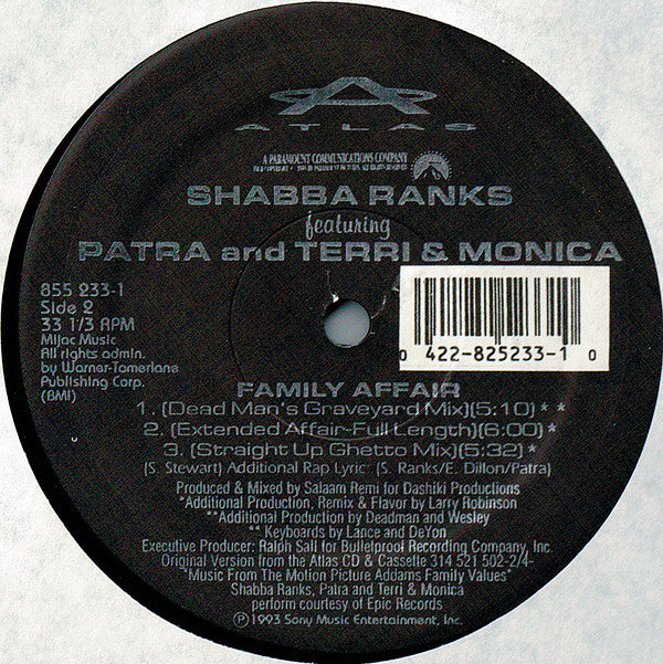 Shabba Ranks Featuring Patra And Terri & Monica : Family Affair (12", Maxi)