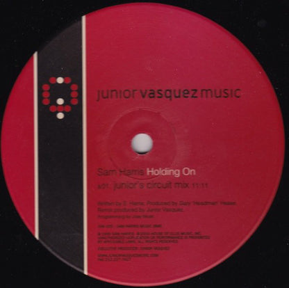 Sam Harris (2) : Holding On (12")