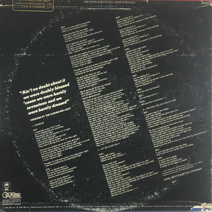 Meat Loaf : Paradise By The Dashboard Light (12", Promo)