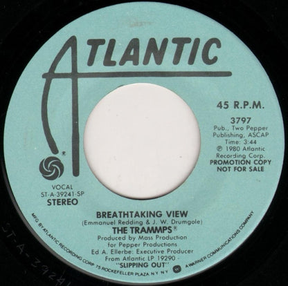 The Trammps : Breathtaking View (7", Promo)