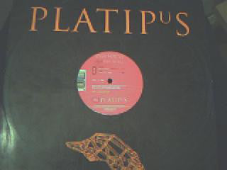 Terra Ferma Feat. Katie Ashley : Don't Be Afraid / Teeth Of The Jungle (12")