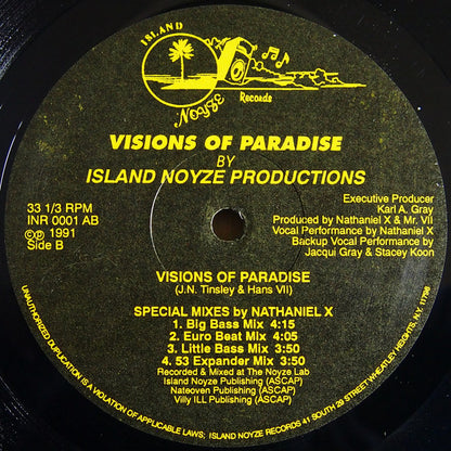 Island Noyze Productions : Visions Of Paradise (12")