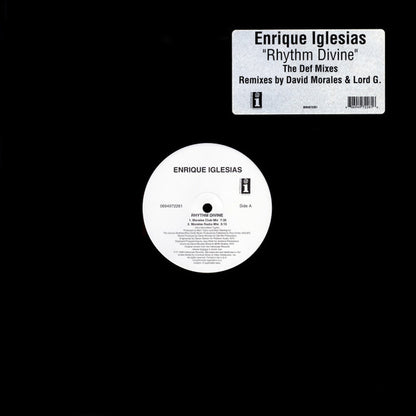 Enrique Iglesias : Rhythm Divine (12")