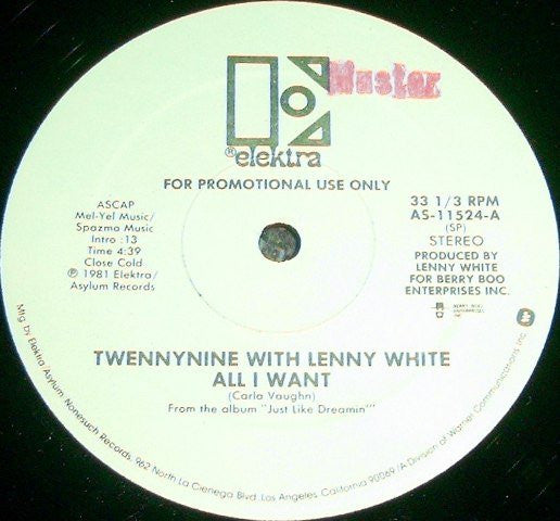 Twennynine With Lenny White : All I Want (12", Promo)