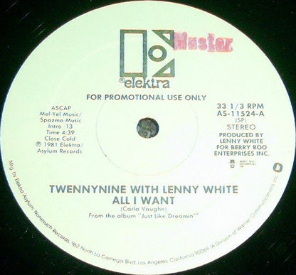 Twennynine With Lenny White : All I Want (12", Promo)