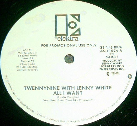 Twennynine With Lenny White : All I Want (12", Promo)