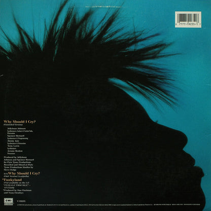 Nona Hendryx : Why Should I Cry? (Extended Version) (12", Single)