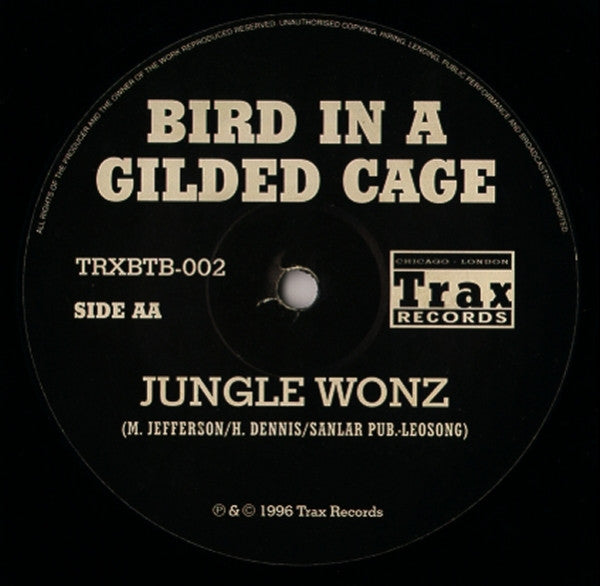 Mr. Fingers / Jungle Wonz : Can U Feel It / Bird In A Gilded Cage (10")