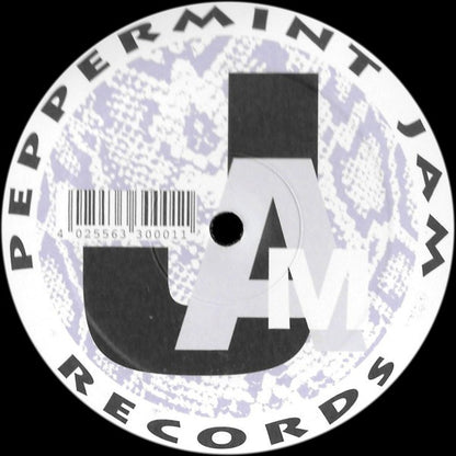Boris Dlugosch With Roisin Murphy* : Never Enough (2x12")