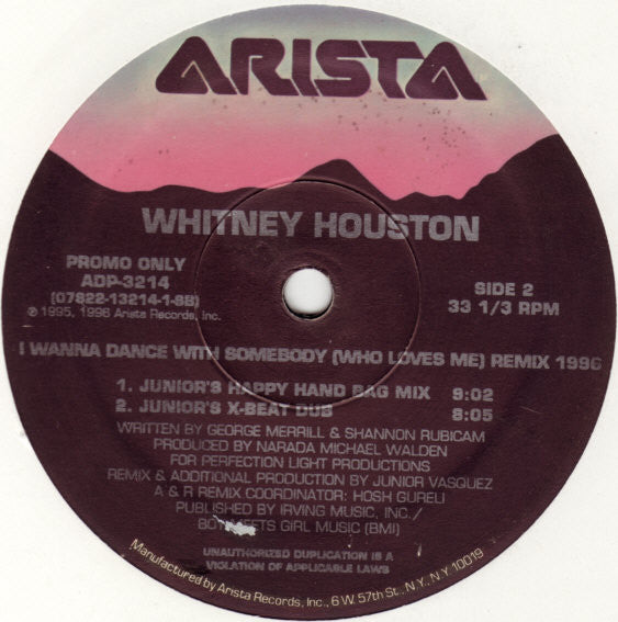 Whitney Houston : Why Does It Hurt So Bad / I Wanna Dance With Somebody (Who Loves Me) (Remix 1996) (12", Promo)