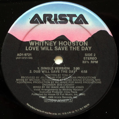 Whitney Houston : Love Will Save The Day (12")