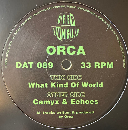 Orca : What Kind Of World / Camyx / Echoes (12")