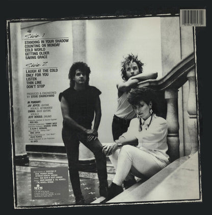 In Pursuit (2) : Standing In Your Shadow (LP)