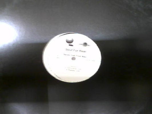 Soul For Real : Never Felt This Way (12", Single)