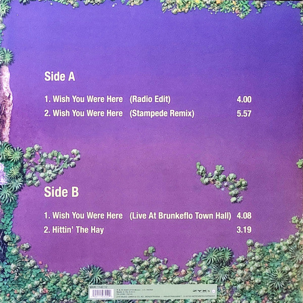 Rednex : Wish You Were Here (12", Maxi, RE, Col)