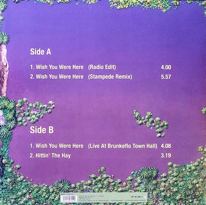 Rednex : Wish You Were Here (12", Maxi, RE, Col)