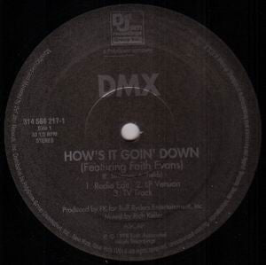 DMX : How's It Goin' Down (12")