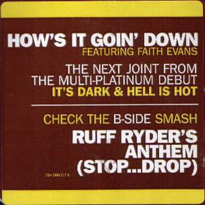 DMX : How's It Goin' Down (12")