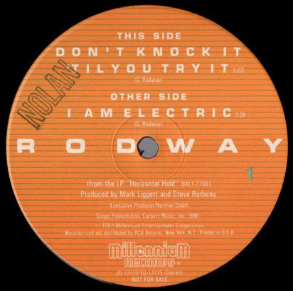 Steve Rodway : Don't Knock It 'Til You Try It (12", Single, Promo)