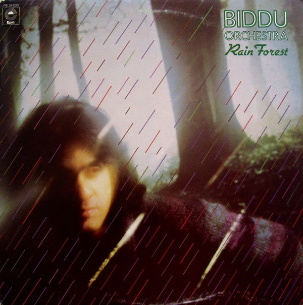 Biddu Orchestra : Rain Forest (LP, Album)