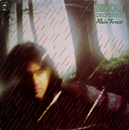 Biddu Orchestra : Rain Forest (LP, Album)