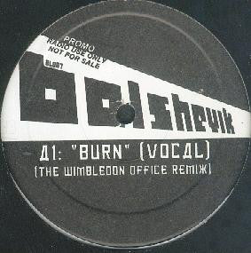 Usher : Burn (12", Promo)
