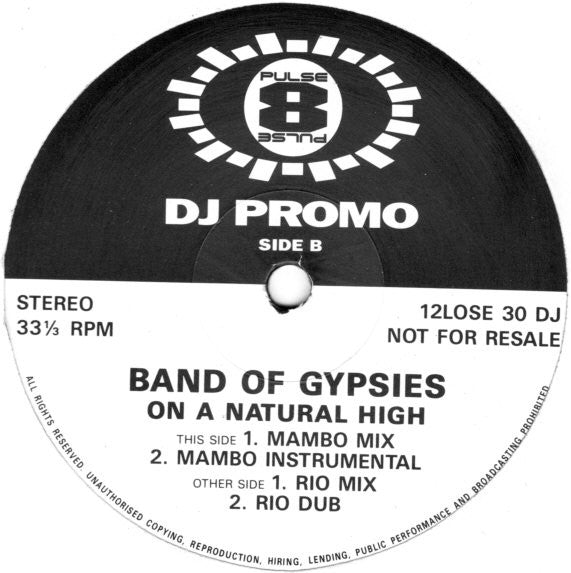 Band Of Gypsies : On A Natural High (12", Promo)