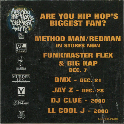 Jay-Z Featuring UGK : Anything / Big Pimpin' (12", Single, Promo)