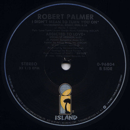 Robert Palmer : I Didn't Mean To Turn You On (Extended Dance Mix) (12", SP )