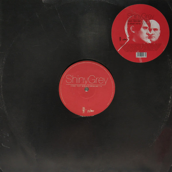 ShinyGrey : Why (12")