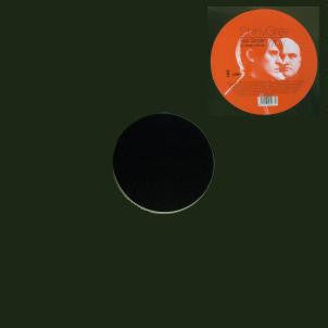 ShinyGrey : Why (12")