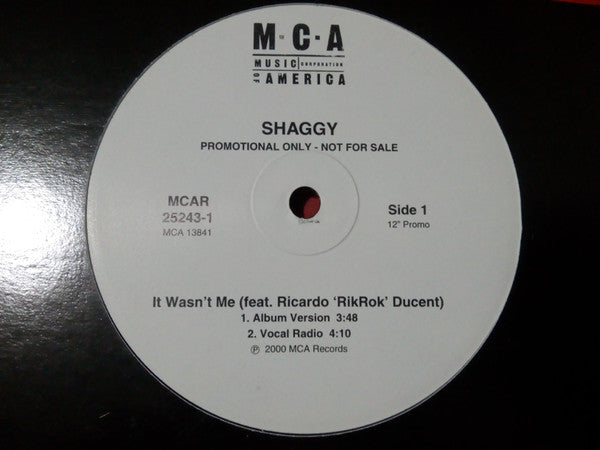 Shaggy : It Wasn't Me (12", Promo)