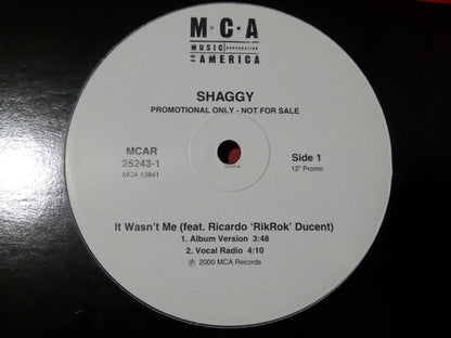 Shaggy : It Wasn't Me (12", Promo)