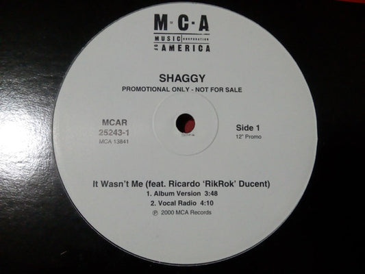 Shaggy : It Wasn't Me (12", Promo)