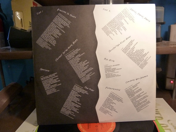 Clarence Clemons : A Night With Mr. C (LP, Album)