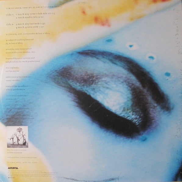 Qkumba Zoo : I'm Scared, You're Scared {Cloud Eyes} (12", Promo)