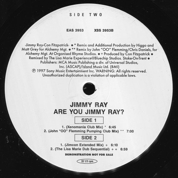 Jimmy Ray : Are You Jimmy Ray? (The Remixes!) (12", Promo)