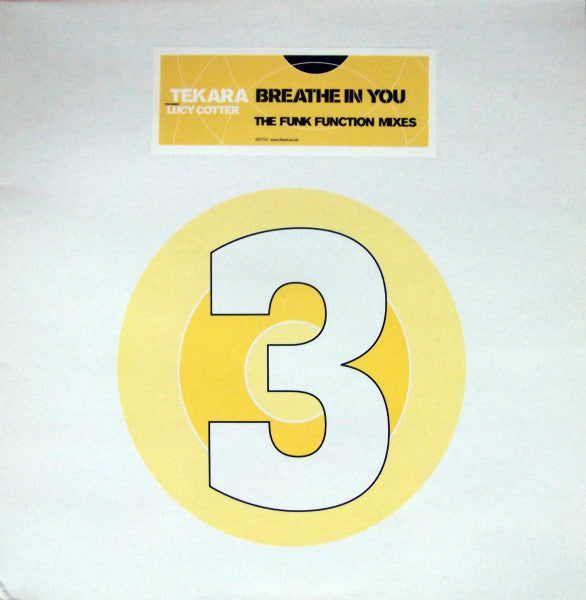 Tekara Featuring Lucy Cotter : Breathe In You (The Funk Function Mixes) (12")