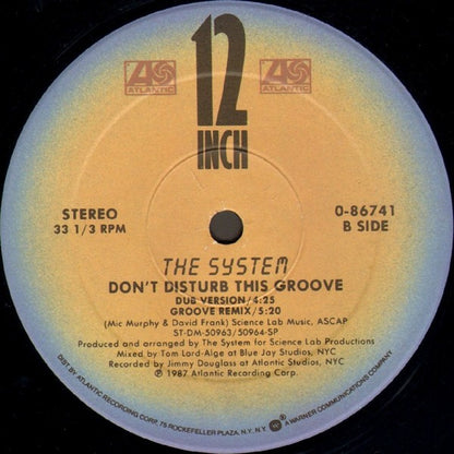 The System : Don't Disturb This Groove (12")