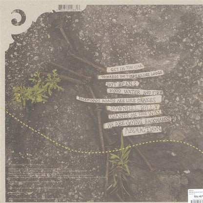 Wang Inc. : Woods Roads (2x12", Album)