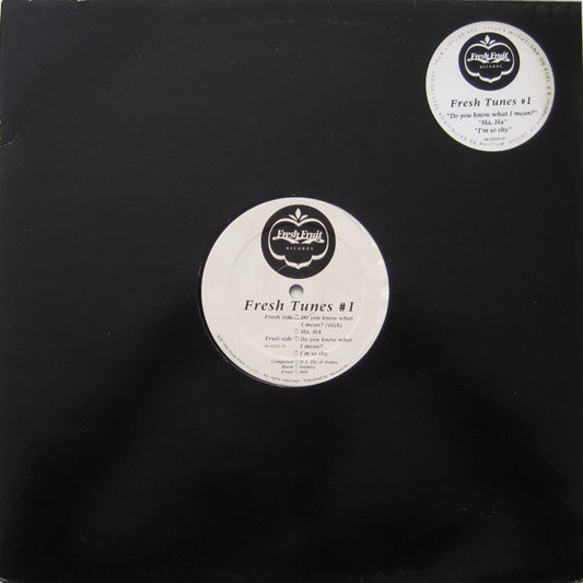 Fresh Tunes : #1 - Do You Know What I Mean? (12")