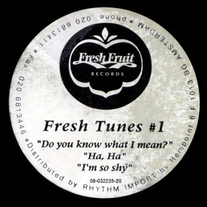 Fresh Tunes : #1 - Do You Know What I Mean? (12")