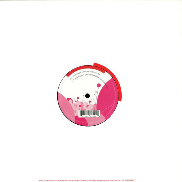 Liebe Ist Cool : Rainbow Ice Cream Remixes (12")