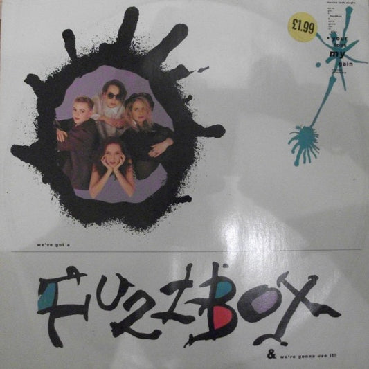 We've Got A Fuzzbox & We're Gonna Use It!* : Your Loss My Gain (12", Single)