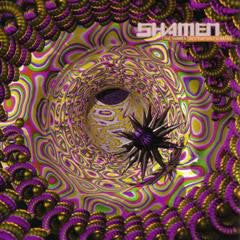 The Shamen : Destination Eschaton (12")