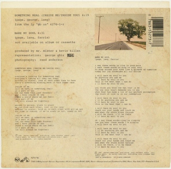 Mr. Mister : Something Real (Inside Me/Inside You) (7", Single)