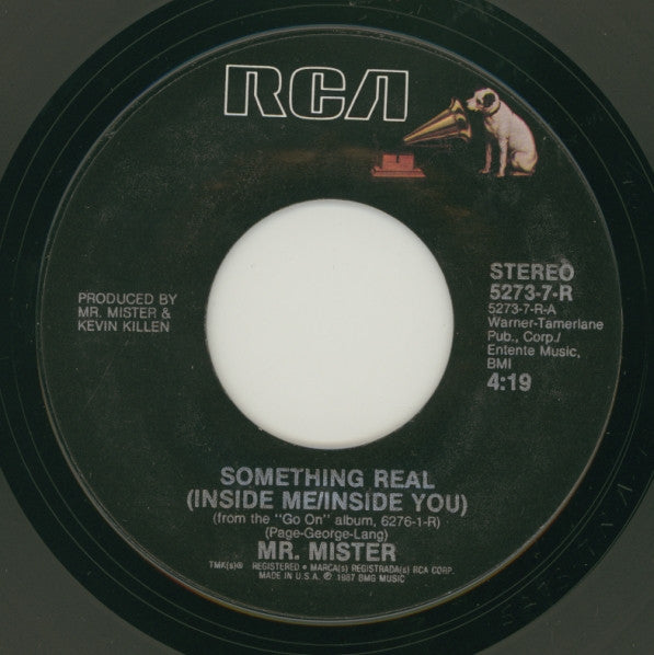 Mr. Mister : Something Real (Inside Me/Inside You) (7", Single)