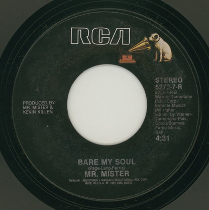 Mr. Mister : Something Real (Inside Me/Inside You) (7", Single)