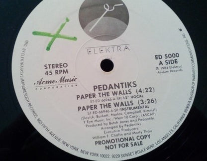 Pedantiks : Paper The Walls (12", Promo)