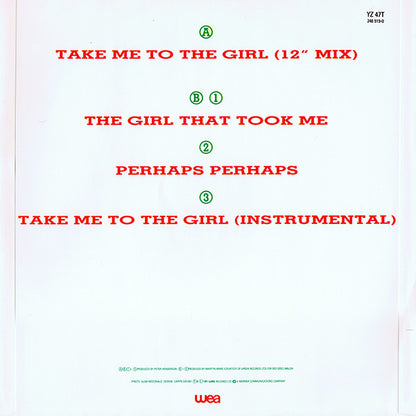 The Associates : Take Me To The Girl (12")
